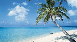 karibik_palmenstrand_ke